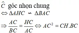 Vận dụng các trường hợp đồng dạng trong tam giác vuông chứng minh hệ thức Van Dung Cac Truong Hop Dong Dang Trong Tam Giac Vuong Chung Minh He Thuc 21462