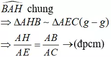 Vận dụng các trường hợp đồng dạng trong tam giác vuông chứng minh hệ thức Van Dung Cac Truong Hop Dong Dang Trong Tam Giac Vuong Chung Minh He Thuc 21468
