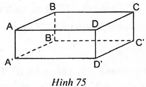 Vị trí tương đối của hai đường thẳng trong không gian Vi Tri Tuong Doi Cua Hai Duong Thang Trong Khong Gian 21562
