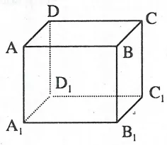 Vị trí tương đối của hai đường thẳng trong không gian Vi Tri Tuong Doi Cua Hai Duong Thang Trong Khong Gian 21564