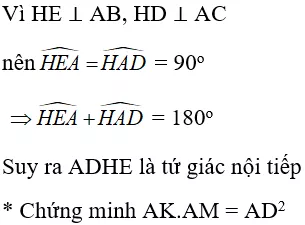 Toán lớp 9 | Lý thuyết - Bài tập Toán 9 có đáp án Bai Tap Tu Giac Noi Tiep 19