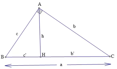 Lý thuyết Một số hệ thức về cạnh và góc trong tam giác vuông - Lý thuyết Toán lớp 9 đầy đủ nhất Ly Thuyet Mot So He Thuc Ve Canh Va Goc Trong Tam Giac Vuong