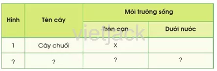 Bài 11: Môi trường sống của thực vật và động vật hay nhất Bai 11 Moi Truong Song Cua Thuc Vat Va Dong Vat 6