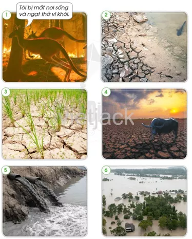 Bài 12: Bảo vệ môi trường sống của thực vật và động vật hay nhất Bai 12 Bao Ve Moi Truong Song Cua Thuc Vat Va Dong Vat 3