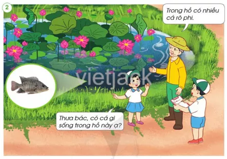 Bài 13: Thực hành: Tìm hiểu môi trường sống của thực vật và động vật hay nhất Bai 13 Thuc Hanh Tim Hieu Moi Truong Song Cua Thuc Vat Va Dong Vat 3