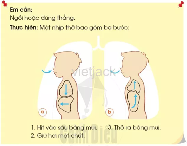 Bài 17: Bảo vệ cơ quan hô hấp hay nhất Bai 17 Bao Ve Co Quan Ho Hap 3