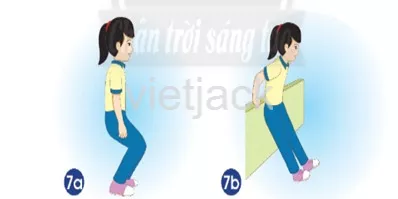 Bài 19: Cơ quan vận động Bai 19 Co Quan Van Dong 39495