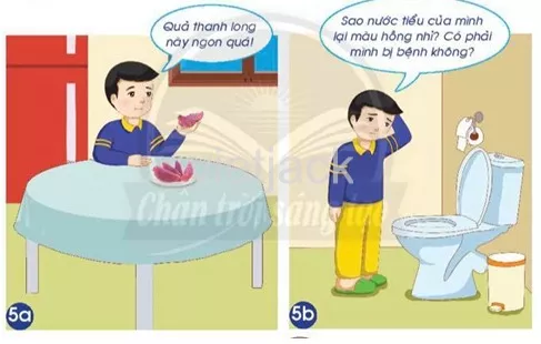 Bài 23: Cơ quan bài tiết nước tiểu Bai 23 Co Quan Bai Tiet Nuoc Tieu 39562