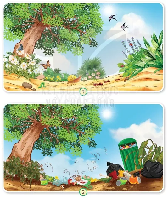 Bài 18: Cần làm gì để bảo vệ môi trường sống của thực vật và động vật Bai 18 Can Lam Gi De Bao Ve Moi Truong Song Cua Thuc Vat Va Dong Vat 31212