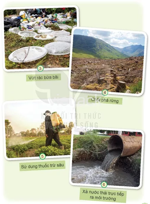 Bài 18: Cần làm gì để bảo vệ môi trường sống của thực vật và động vật Bai 18 Can Lam Gi De Bao Ve Moi Truong Song Cua Thuc Vat Va Dong Vat 31222