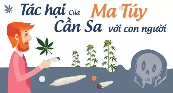 [Năm 2022] Thuyết minh Tác hại của ma túy đối với đời sống của con người xem nhiều nhất Thuyet Minh Tac Hai Cua Ma Tuy Doi Voi Doi Song Cua Con Nguoi