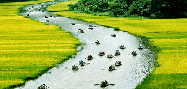 [Năm 2021] Phân tích câu thơ Cha mẹ thương nhau nhau bằng gừng cay muối mặn xem nhiều nhất Phan Tich Cau Tho Cha Me Thuong Nhau Nhau Bang Gung Cay Muoi Man