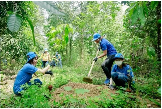 [Năm 2022] Hãy chứng minh rằng bảo vệ rừng là bảo vệ cuộc sống của chúng ta xem nhiều nhất  Hay Chung Minh Rang Bao Ve Rung La Bao Ve Cuoc Song Cua Chung Ta