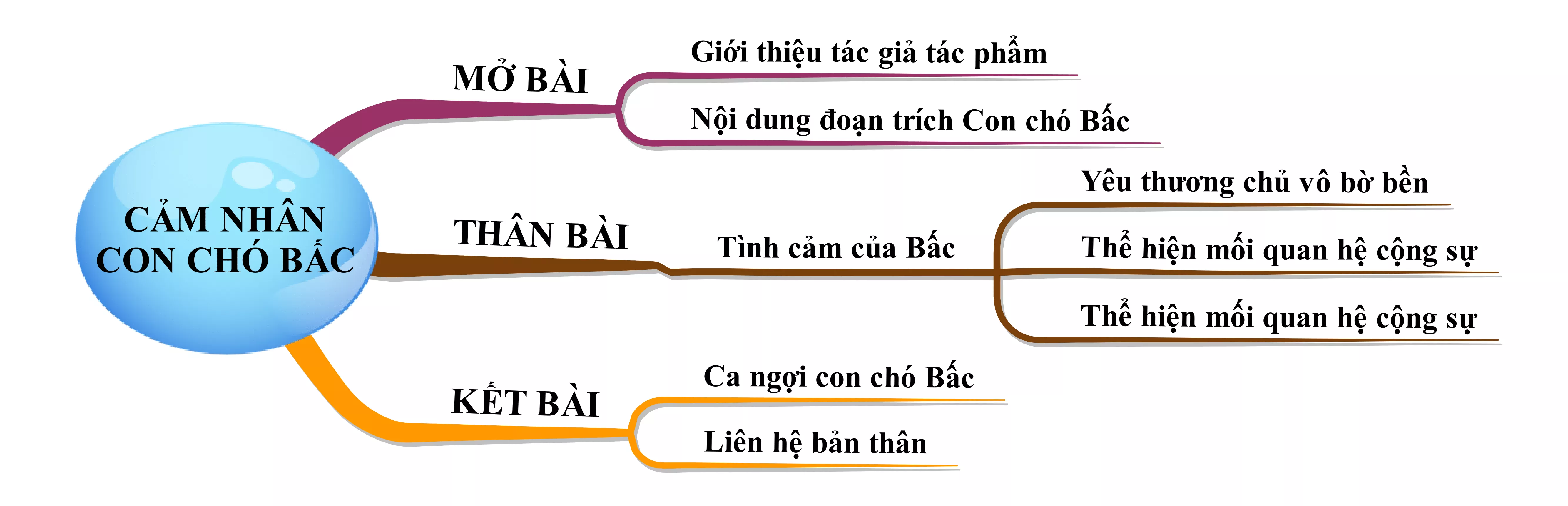 Cảm nhận Con chó Bấc năm 2021 Cam Nhan Con Cho Bac Nam 2021 18410