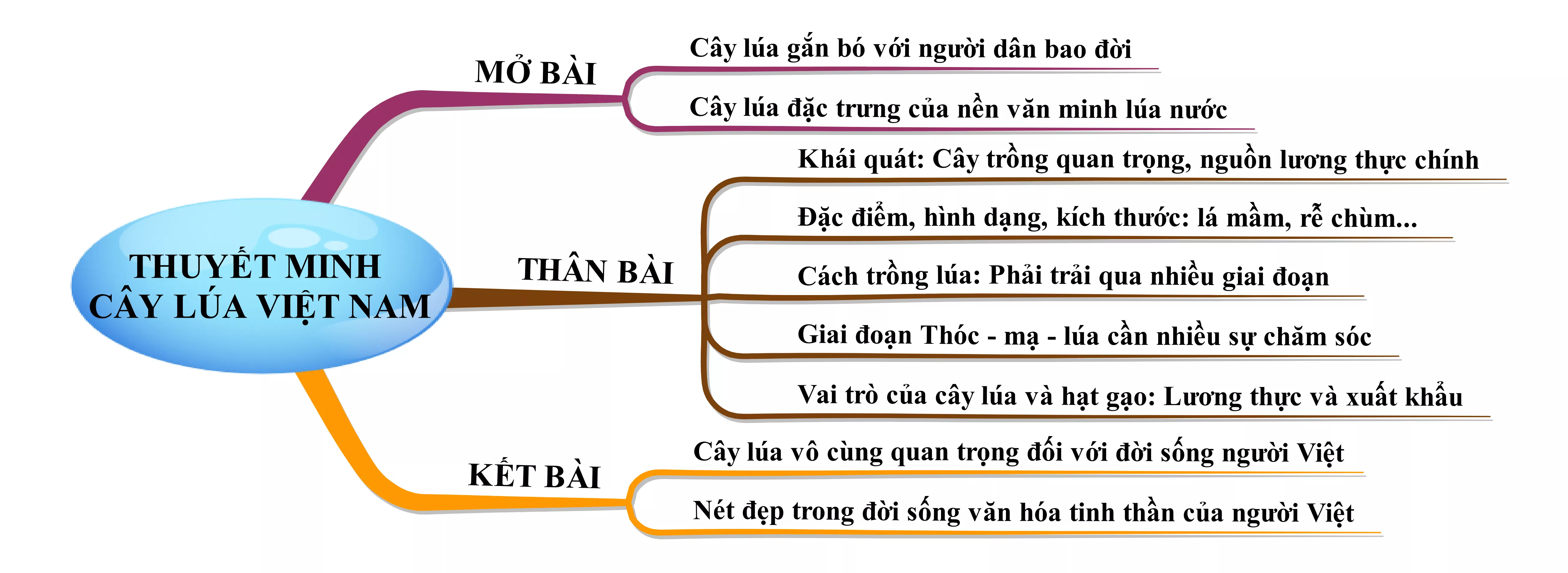 Thuyết minh cây lúa Việt Nam năm 2021 Thuyet Minh Cay Lua Viet Nam Nam 2021 21987