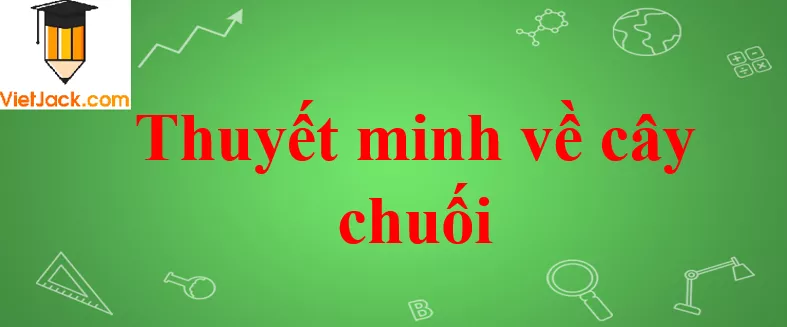Thuyết minh về cây chuối Thuyet Minh Ve Cay Chuoi Nam 2021