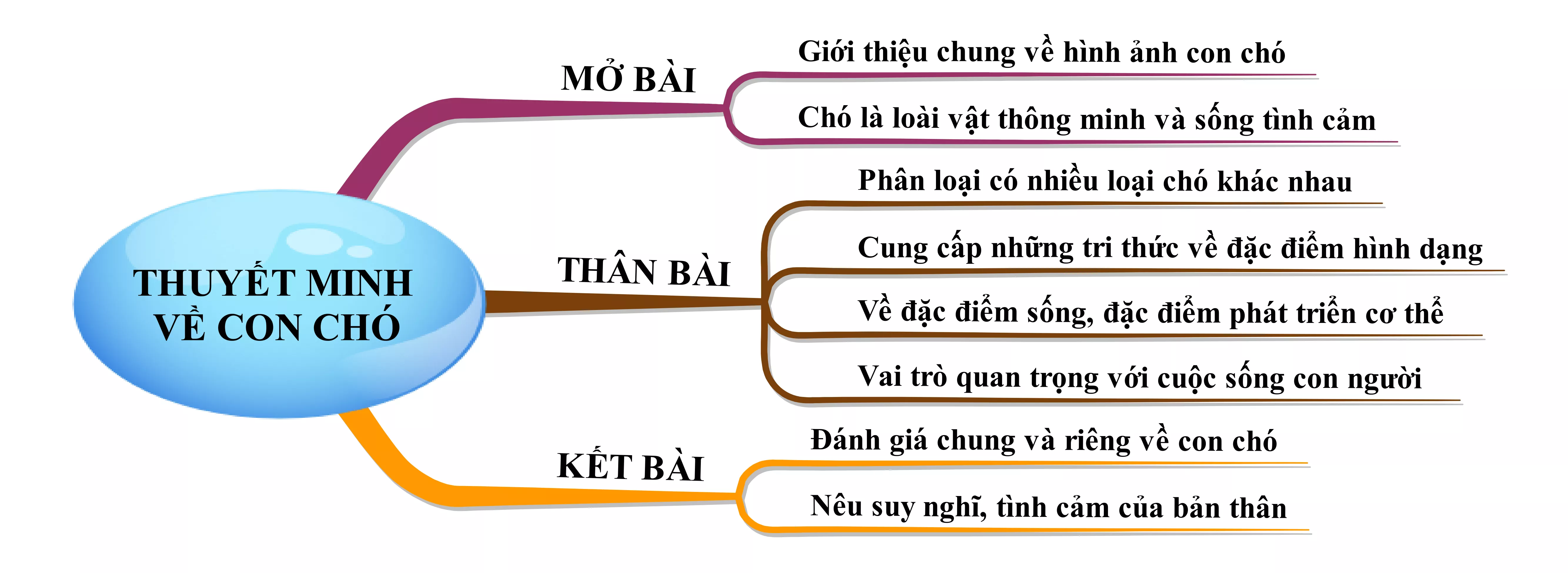 Thuyết minh về con chó năm 2021 Thuyet Minh Ve Con Cho Nam 2021 21991