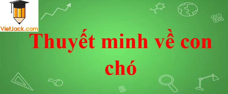 Thuyết minh về con chó Thuyet Minh Ve Con Cho Nam 2021