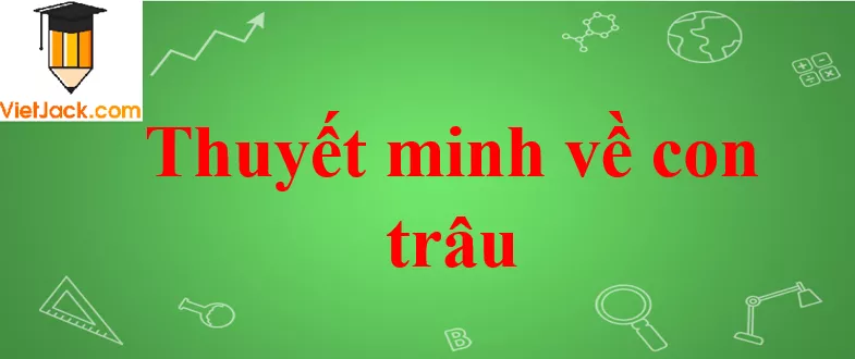 Thuyết minh về con trâu Thuyet Minh Ve Con Trau Nam 2021