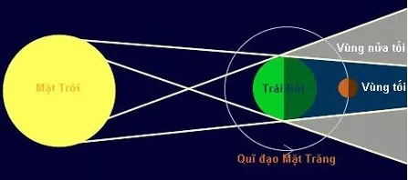 Bài 3( Có đáp án ): Bài tập ứng dụng định luật truyền thẳng của ánh sáng | Trắc nghiệm Vật Lí 7 có đáp án Bai Tap Bai 3 Ung Dung Dinh Luat Truyen Thang Cua Anh Sang 13