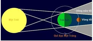 Bài 3( Có đáp án ): Bài tập ứng dụng định luật truyền thẳng của ánh sáng | Trắc nghiệm Vật Lí 7 có đáp án Bai Tap Bai 3 Ung Dung Dinh Luat Truyen Thang Cua Anh Sang 3