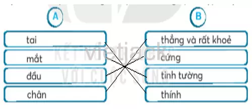 Bài 10: Khủng long Bai 10 Khung Long 35159