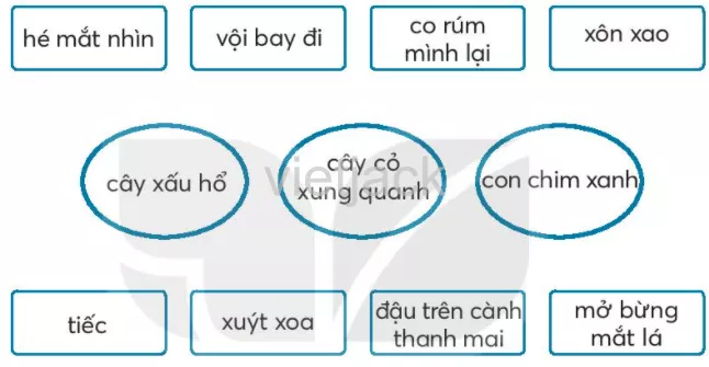 Bài 7: Cây xấu hổ Bai 7 Cay Xau Ho 33760