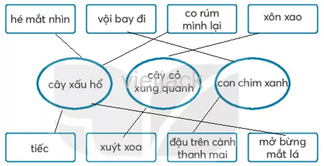 Bài 7: Cây xấu hổ Bai 7 Cay Xau Ho 33762