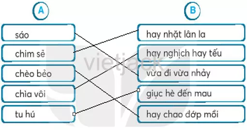 Bài 9: Vè chim Bai 9 Ve Chim 35149