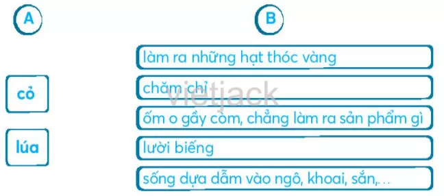 Ôn tập và đánh giá cuối học kỳ 1 On Tap Va Danh Gia Cuoi Hoc Ky 1 34503