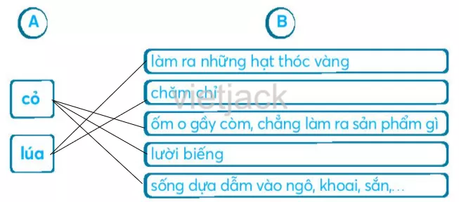 Ôn tập và đánh giá cuối học kỳ 1 On Tap Va Danh Gia Cuoi Hoc Ky 1 34504