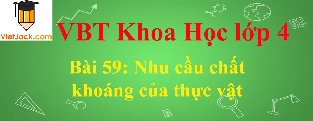 Vở bài tập Khoa Học lớp 4 Bài 59: Nhu cầu chất khoáng của thực vật Bai 59 Nhu Cau Chat Khoang Cua Thuc Vat Anhbia