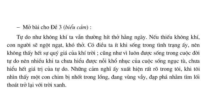 Thực hành lập ý và viết đoạn văn theo các yêu cầu khác nhau