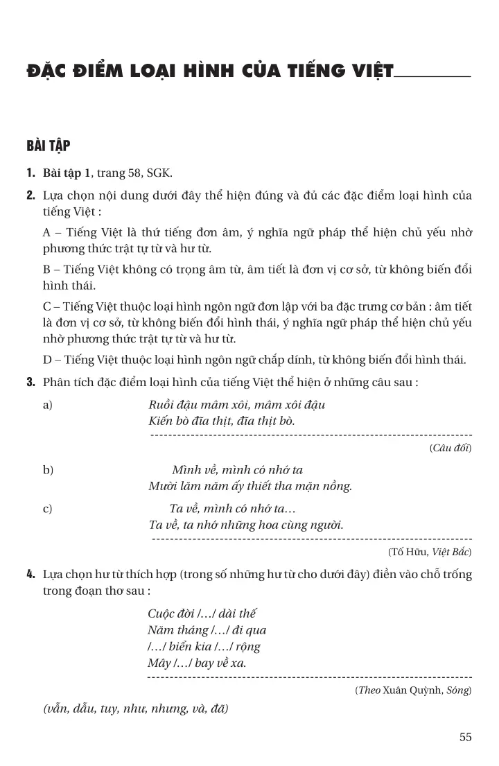 Đặc điểm loại hình của tiếng Việt