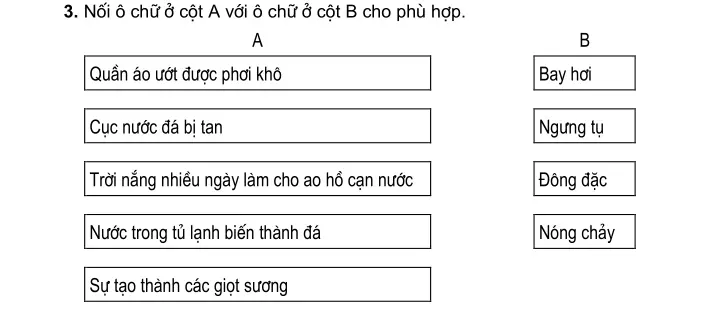 Bài 33 – 34: Ôn tập và kiểm tra học kì I