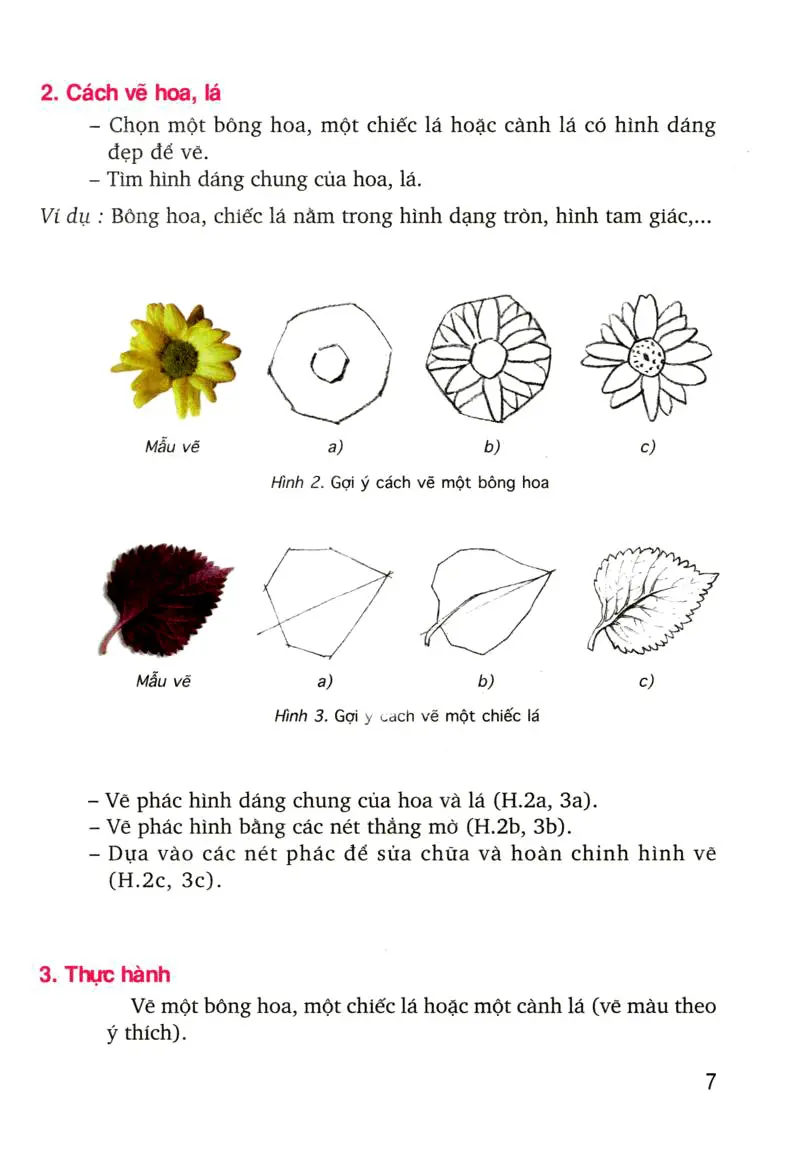 SGK Scan] ✓ Bài 2: Vẽ theo mẫu: Vẽ hoa, lả - Sách Giáo Khoa - Học ...