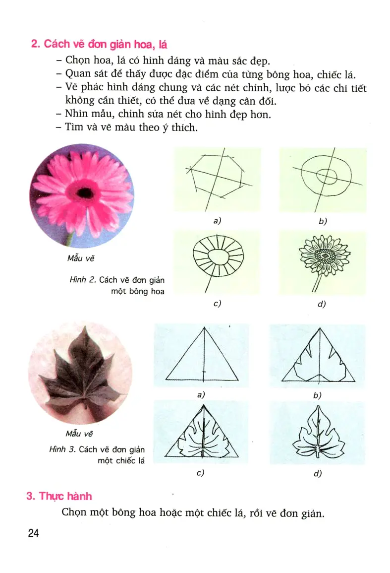 Bài 9: Vẽ trang trí: Vẽ đơn giản hoa, lá