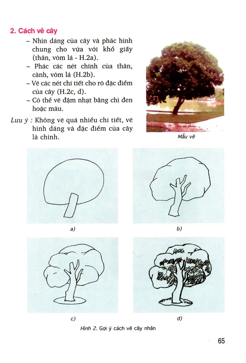 SGK Scan] ✓ Bài 27: Vẽ theo mẫu: Về cây - Sách Giáo Khoa - Học ...