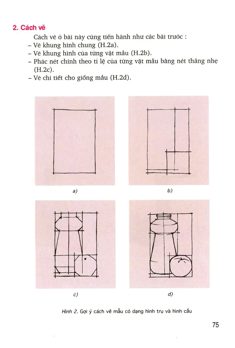 Bài 31: Vẽ theo mẫu: Mẫu có dạng hình trụ và hình cầu
