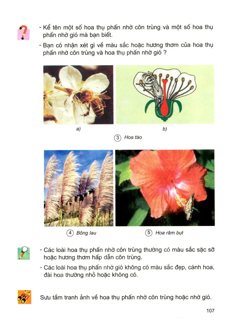 Bài 52: Sự sinh sản của thực vật có hoa