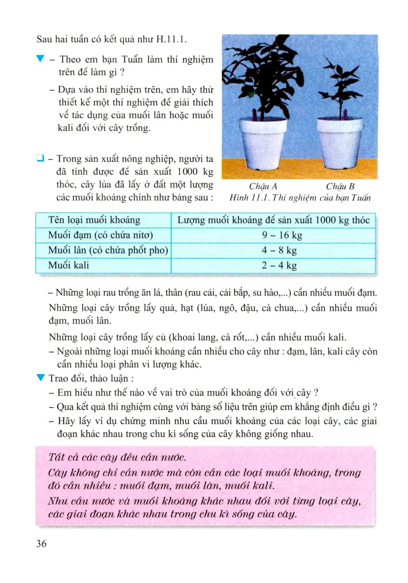 Bài 11: Sự hút nước và muối khoáng của rễ