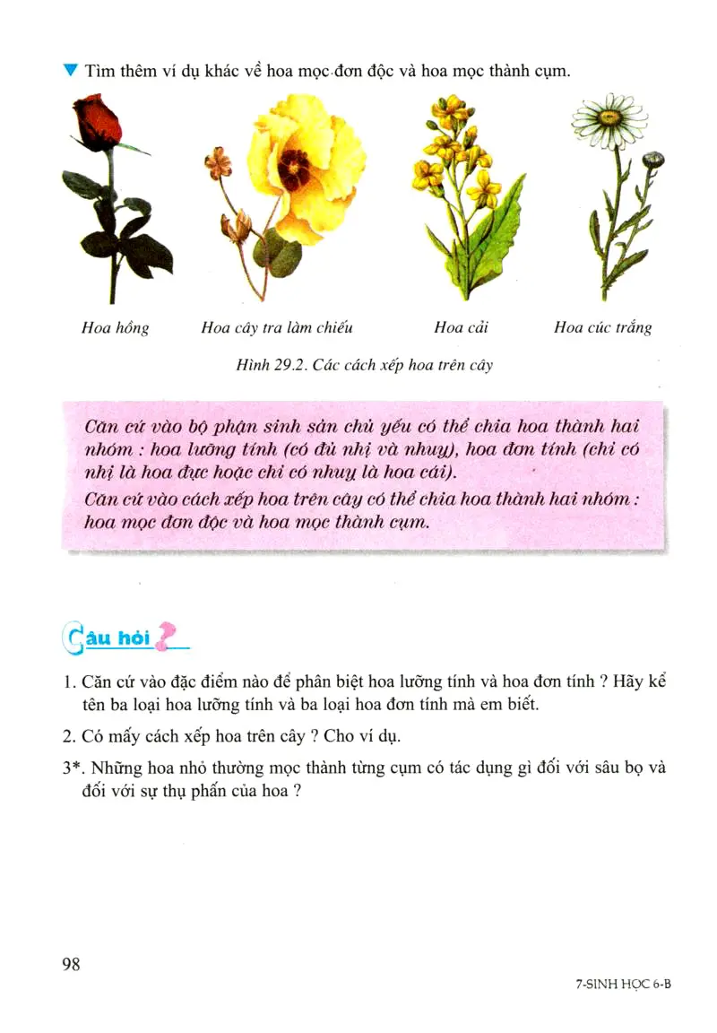 Bài 29: Các loại hoa