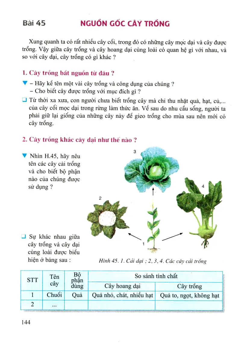 Bài 45: Nguồn gốc cây trồng