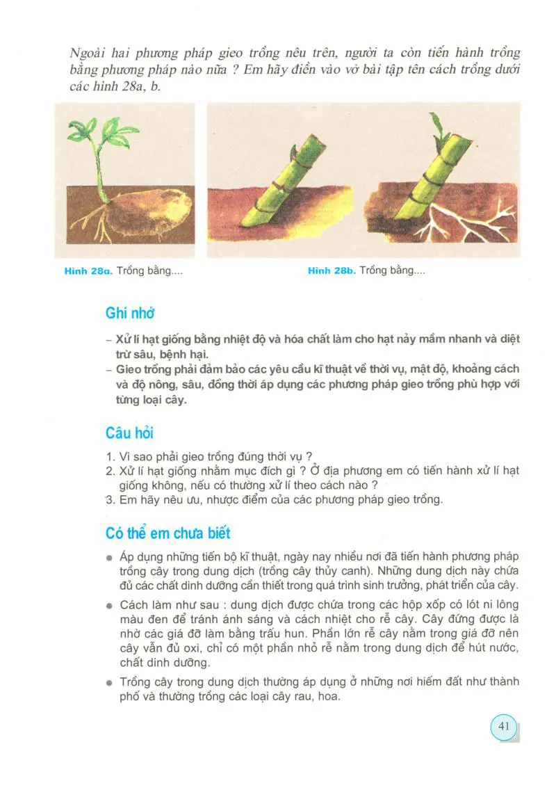 Bài 16: Gieo trồng cây nông nghiệp