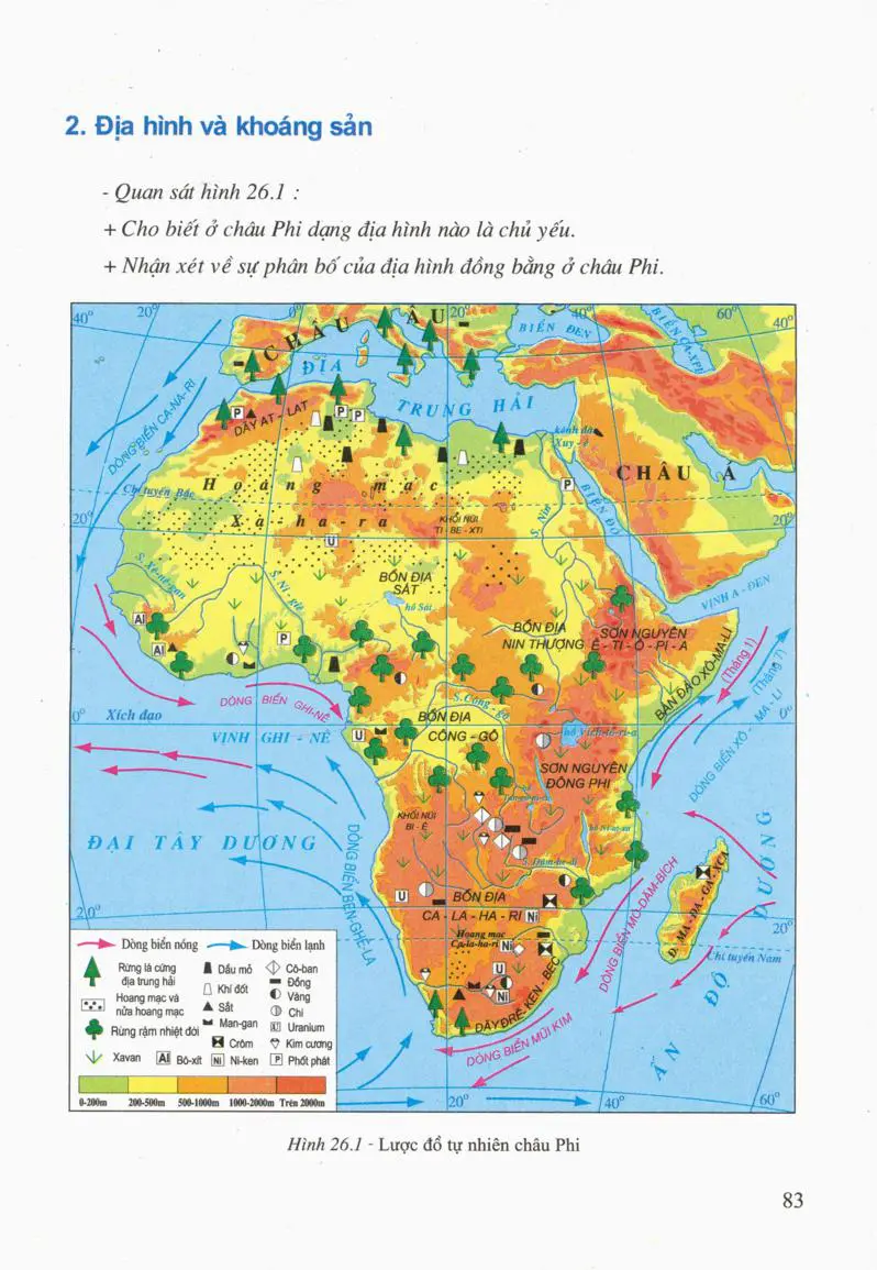 SGK Thiên nhiên Châu Phi: Bộ sách giáo khoa Thiên nhiên Châu Phi đưa bạn đến một hành trình kì diệu khám phá đất nước và con người Châu Phi. Hãy thực hiện nhiệm vụ của mình, tìm hiểu về các loài động thực vật, nền văn hoá độc đáo và lịch sử phong phú của Châu Phi thông qua những trang sách đầy màu sắc và hấp dẫn.