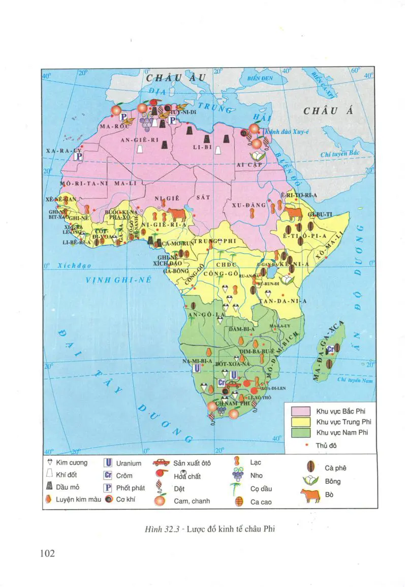 Bài 32: Các khu vực châu Phi