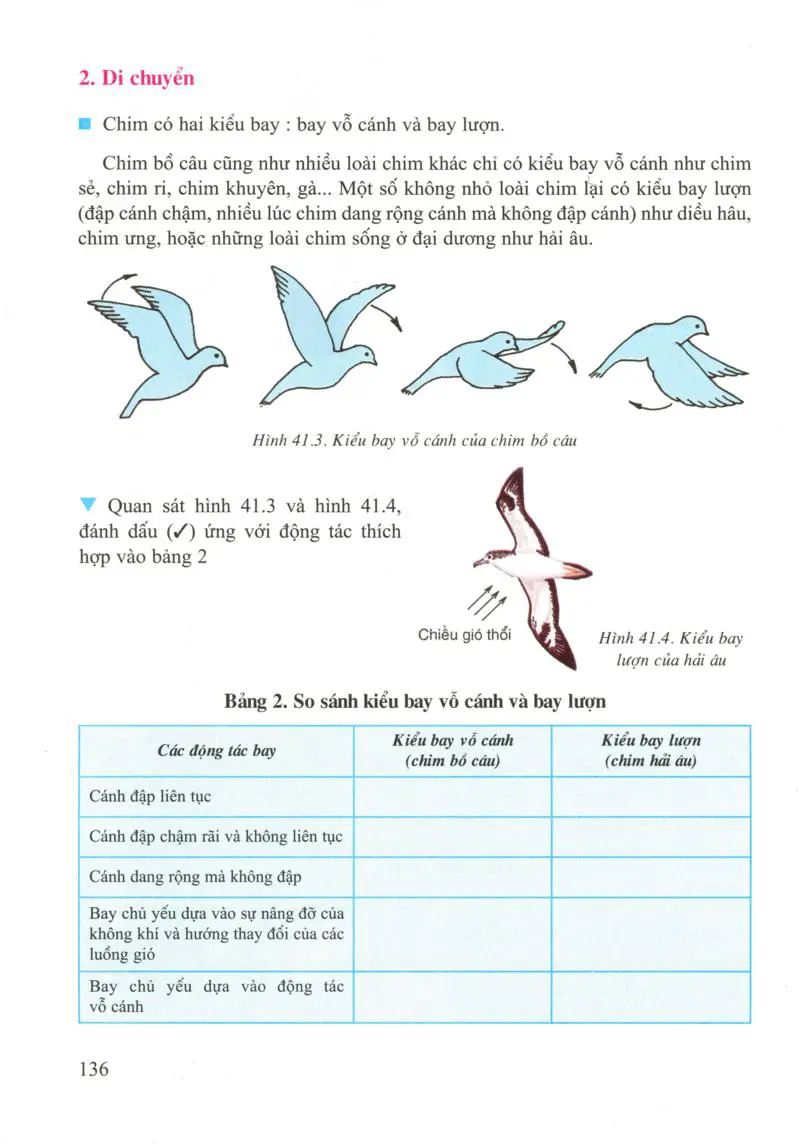 Bài 41: Chim bồ câu