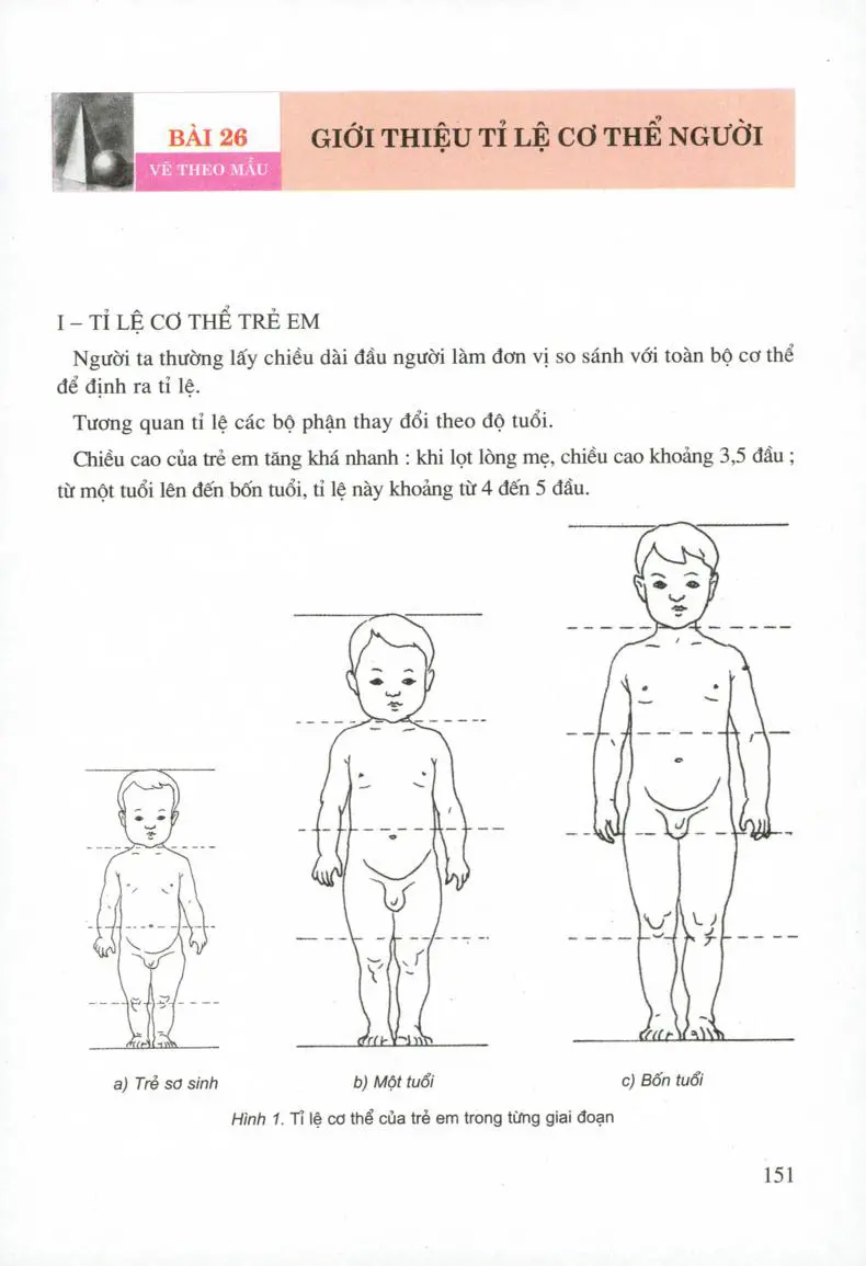 Vẽ theo mẫu Giới thiệu tỉ lệ cơ thể người
