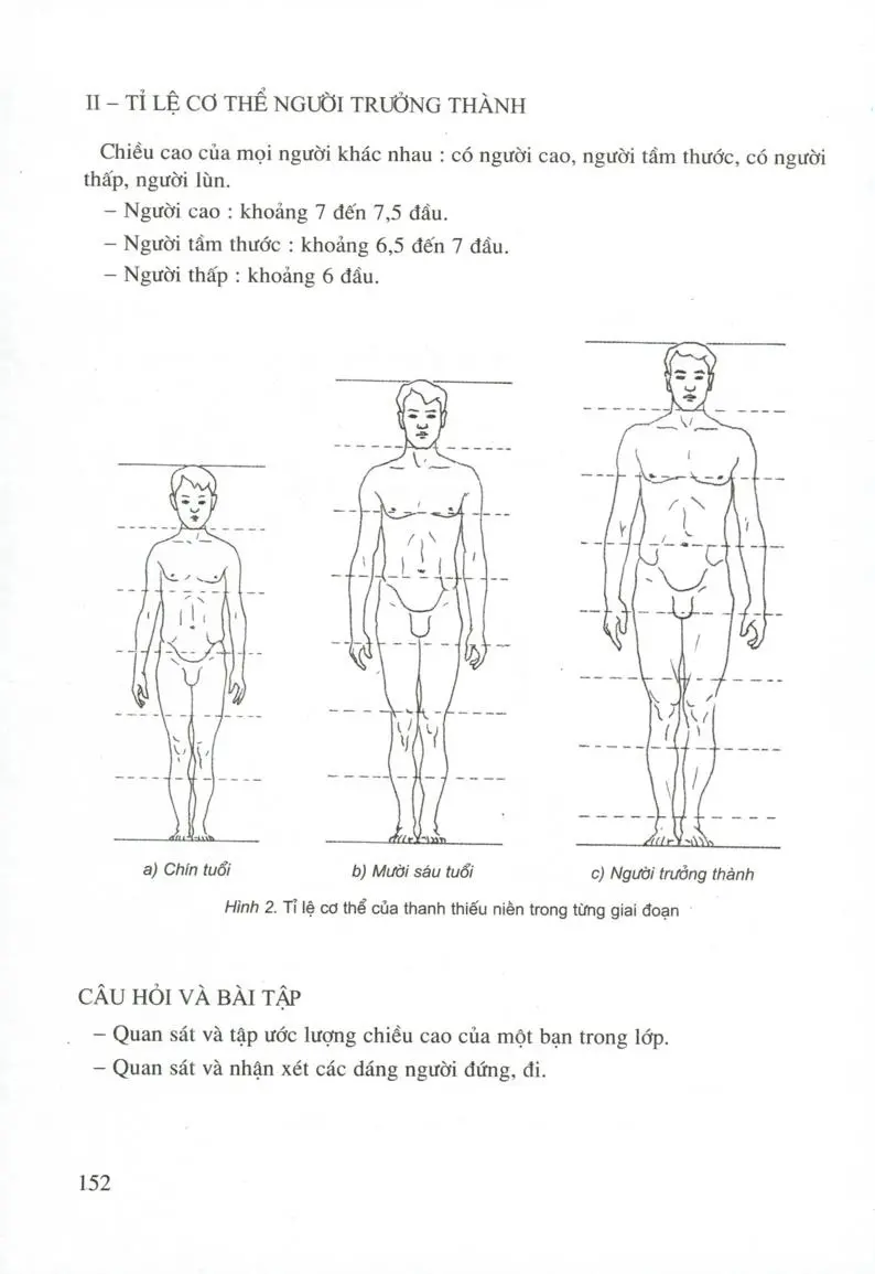 SGK Scan] ✓ Vẽ theo mẫu Giới thiệu tỉ lệ cơ thể người - Sách Giáo Khoa -  Học Online Cùng 