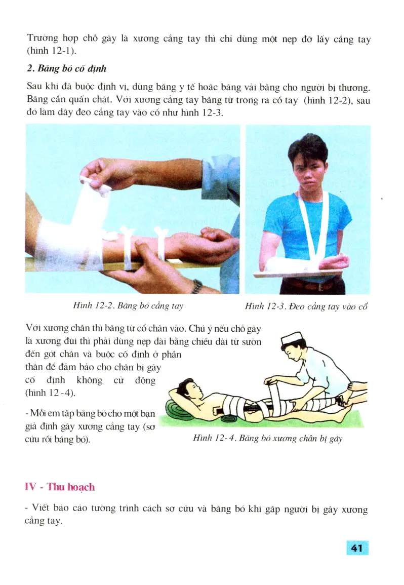 Bài 12: Thực hành: Tập sơ cứu và băng bó cho người gãy xương